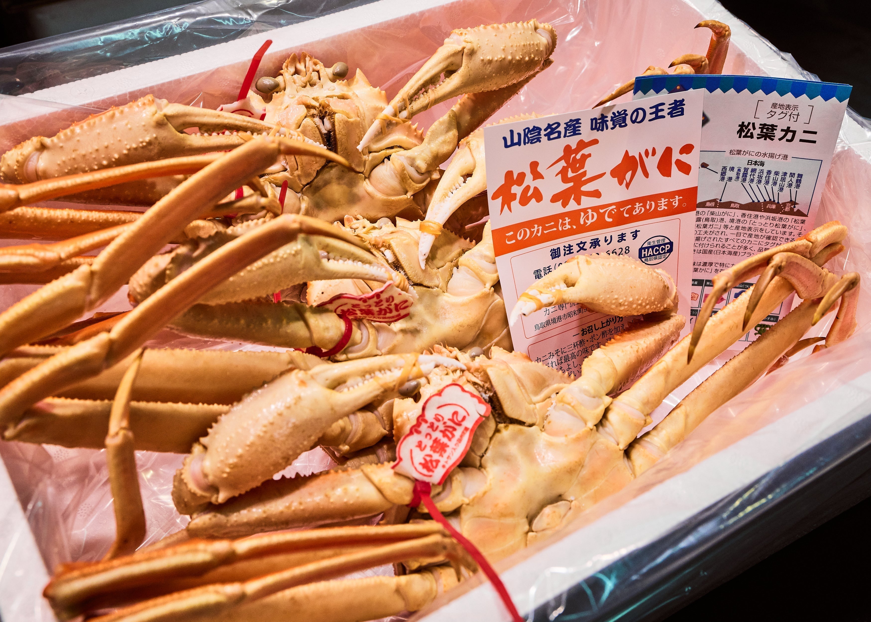松葉ガニお歳暮