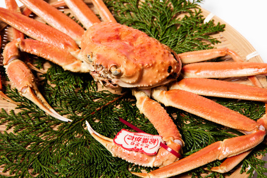 マルツ松葉ガニ
