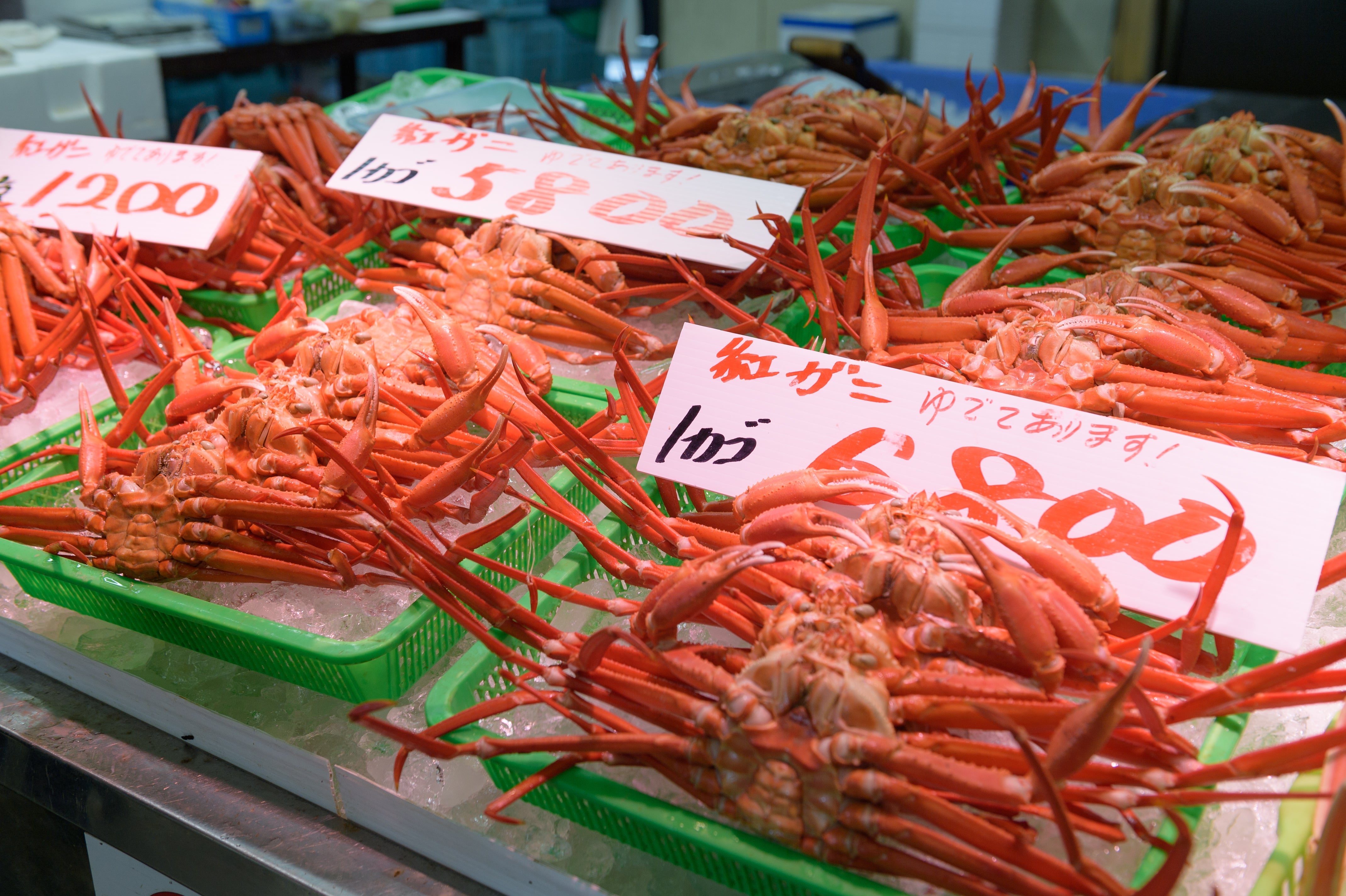 紅ズワイガニ 陳列