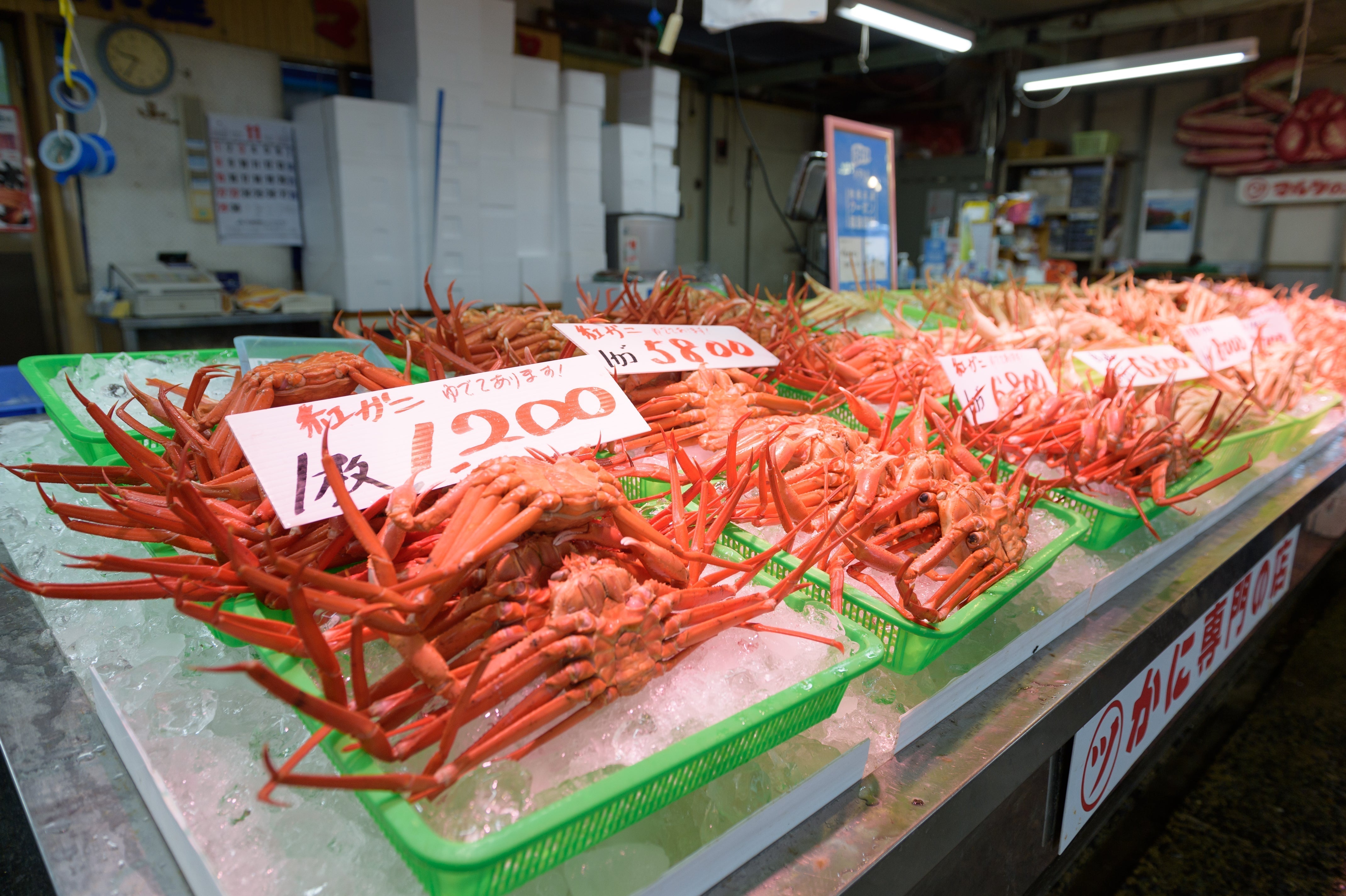 美味しいカニの種類は?カニ専門店が種類別に値段や味の違いについて解説!