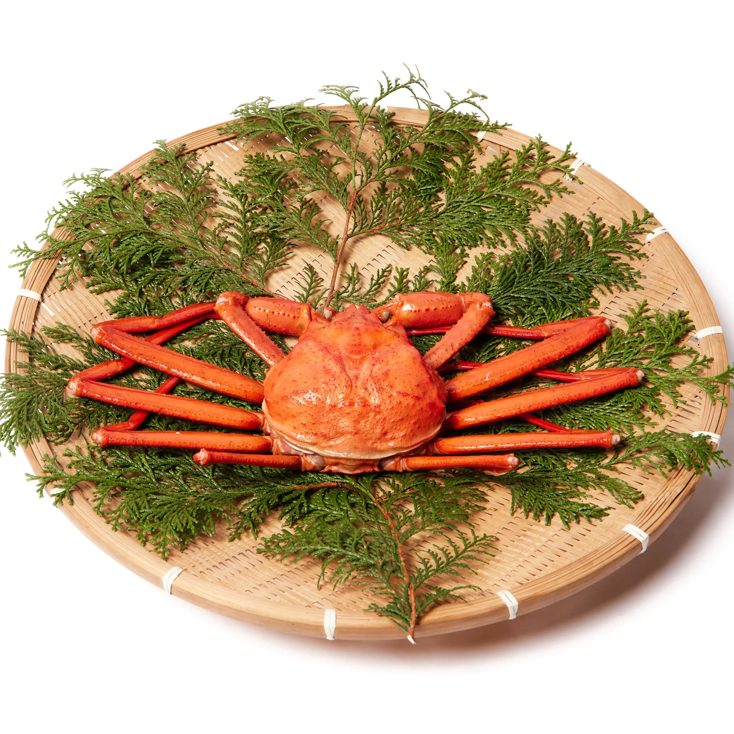 大満足商品!紅ズワイガニ9キロ!早い者勝ち!!! 大満足商品!紅ズワイガニ9キロ!早い者勝ち!!!
