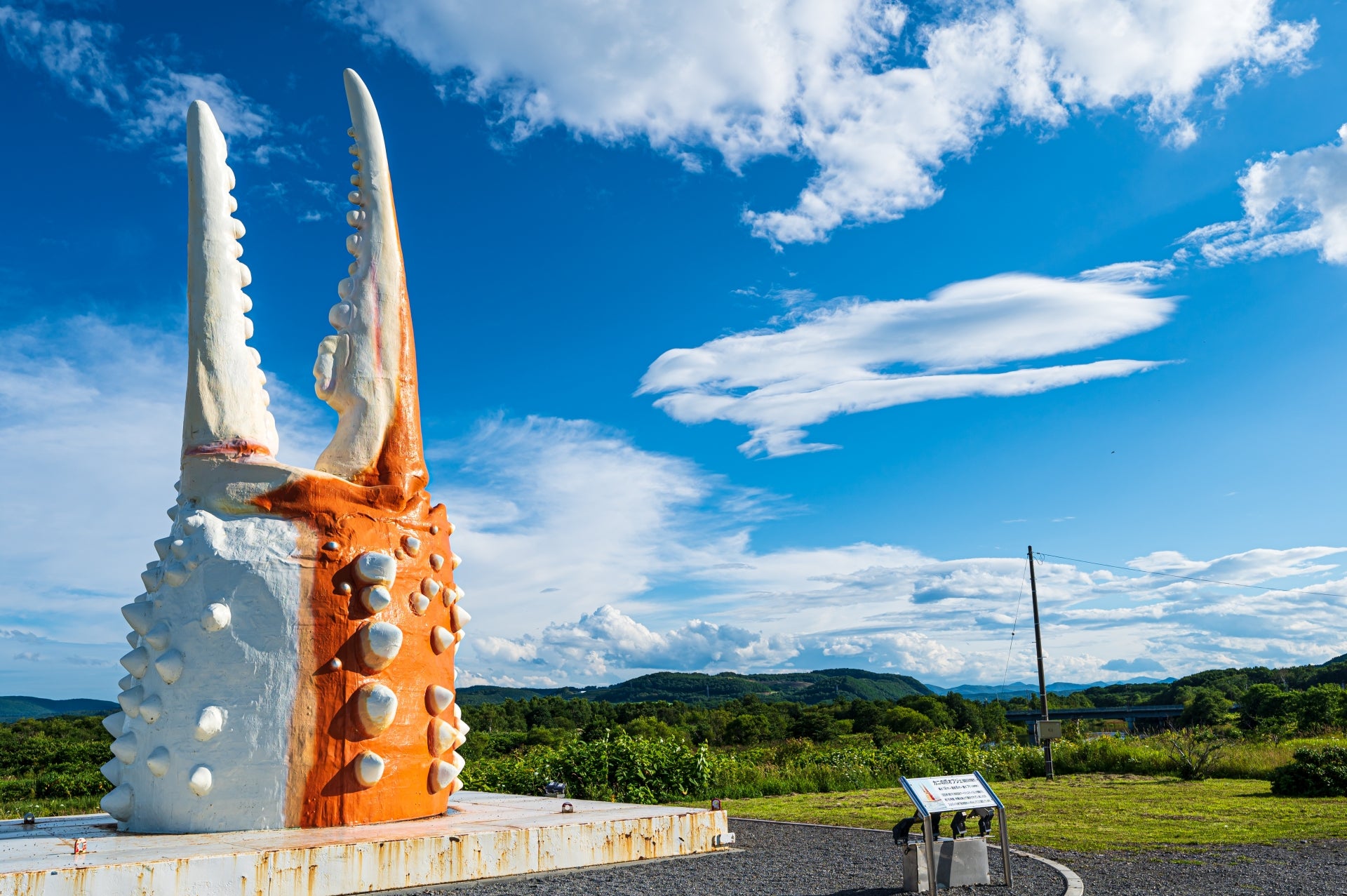 北海道　カニ