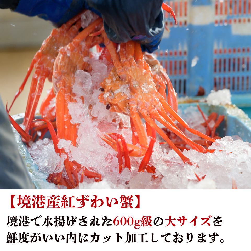 蟹屋の蟹鍋セット（1㎏・2～3人前）11月から発送！早期割引キャンペーン中！