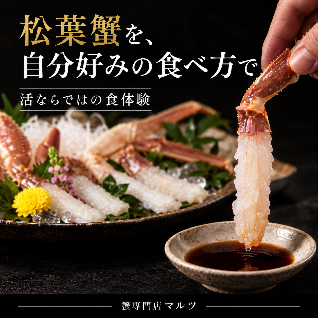【鳥取県産ブランドタグ付き】活・松葉蟹