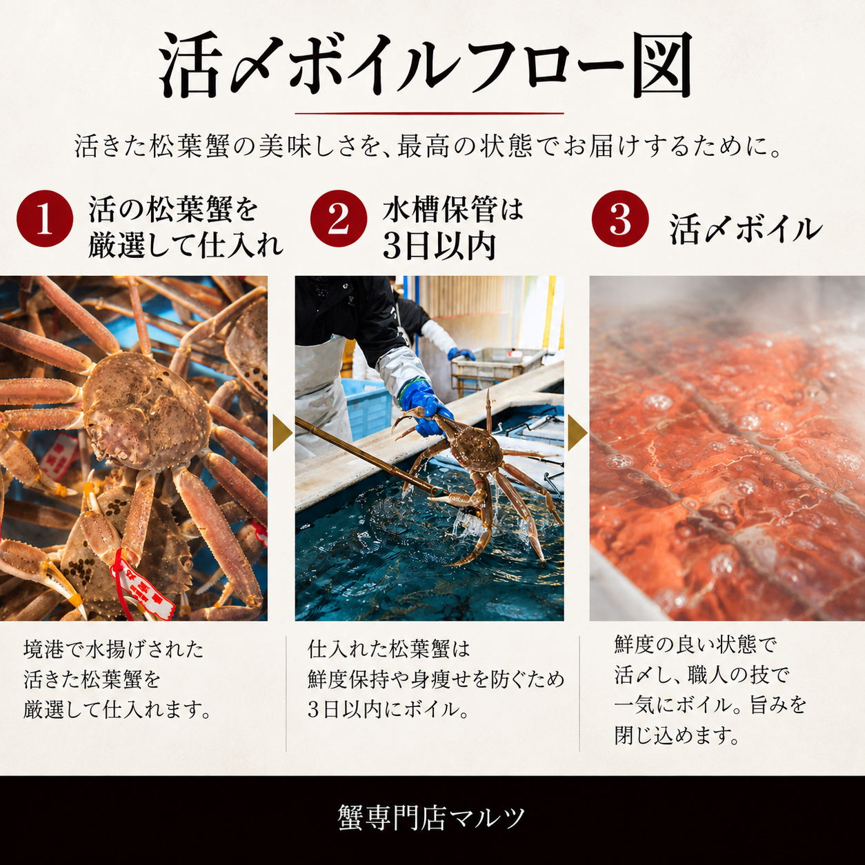 【鳥取県産ブランドタグ付き】活〆ボイル・松葉蟹
