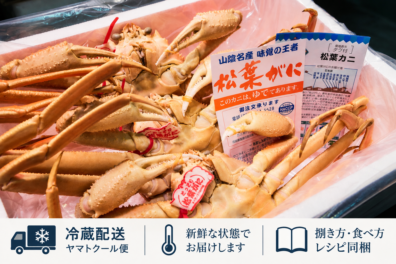 【鳥取県産ブランドタグ付き】活〆ボイル・松葉蟹