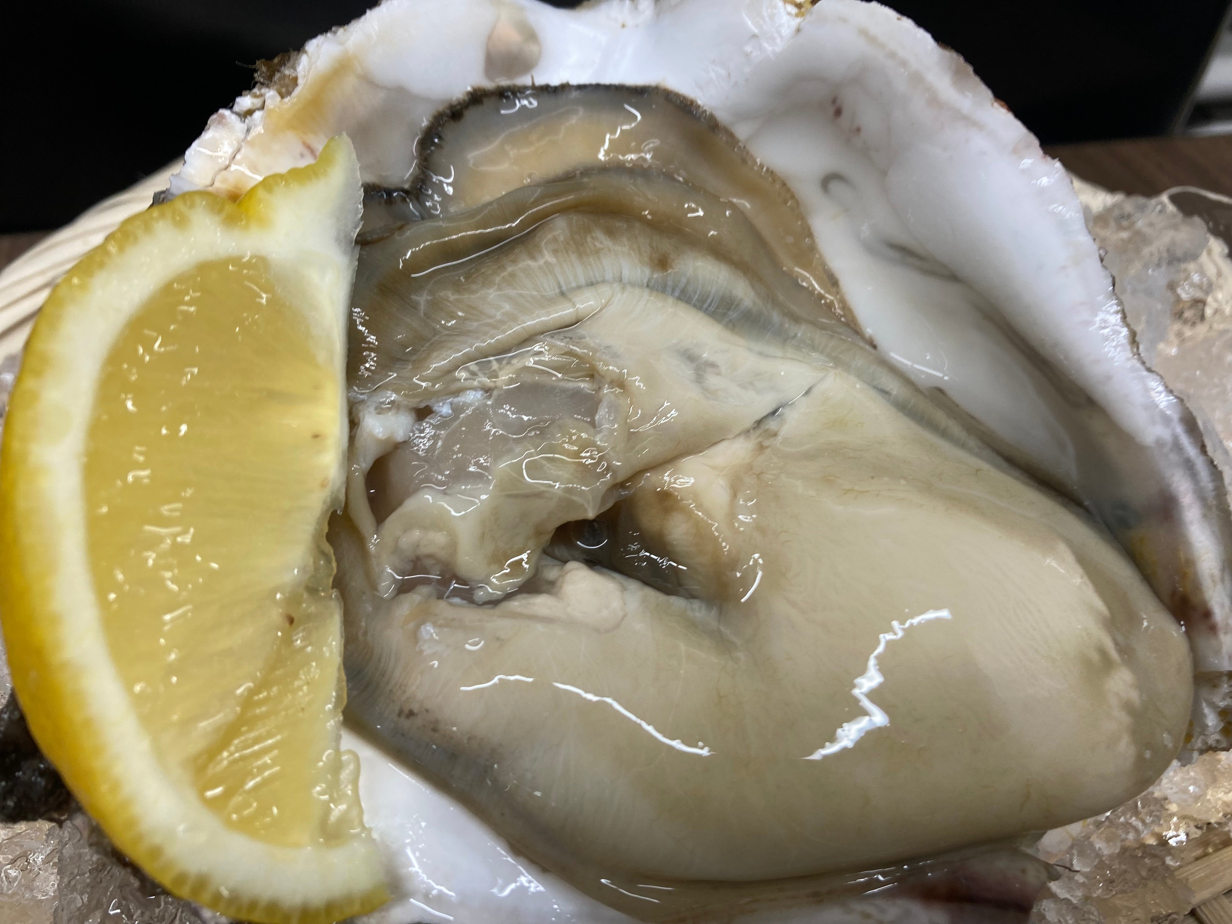 【今が旬！！】鳥取県ブランド天然岩牡蠣「夏輝」（400g前後×3個セット）