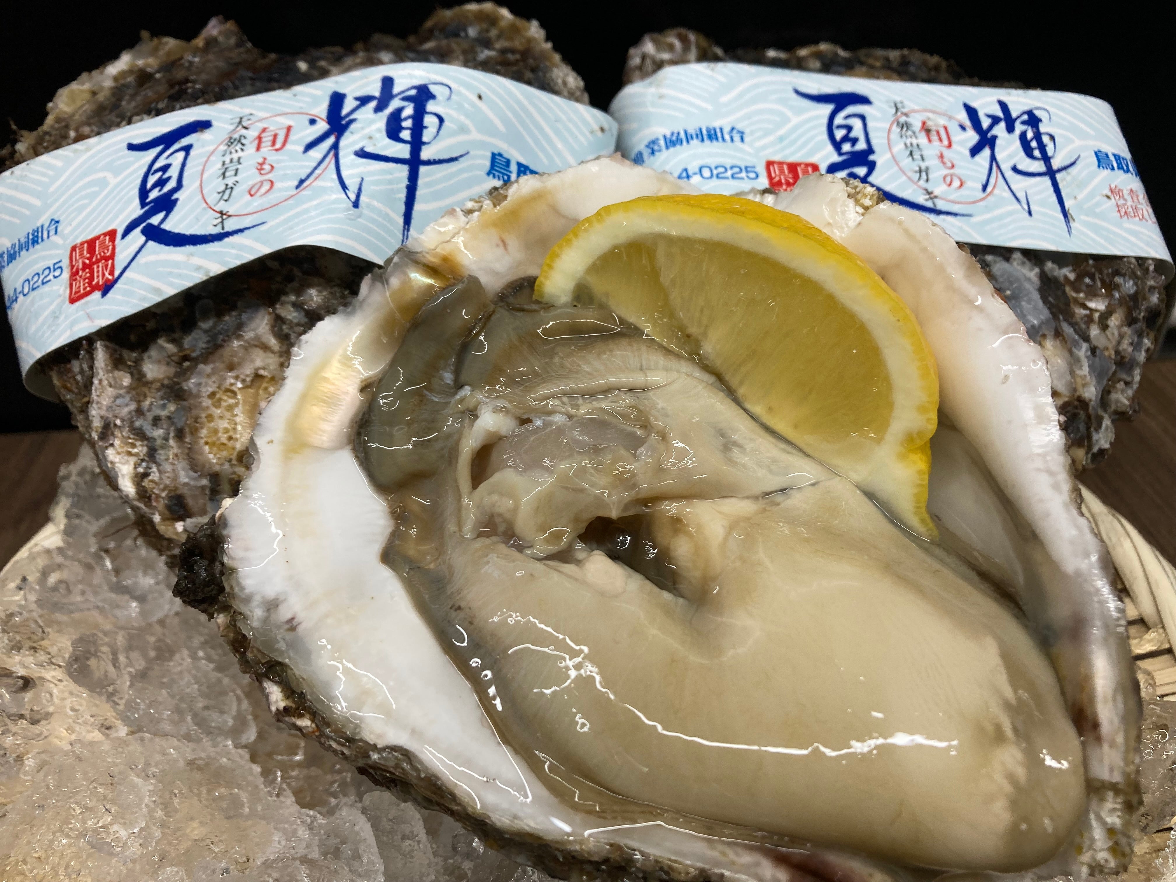 【今が旬！！】鳥取県ブランド天然岩牡蠣「夏輝」（400g前後×3個セット）