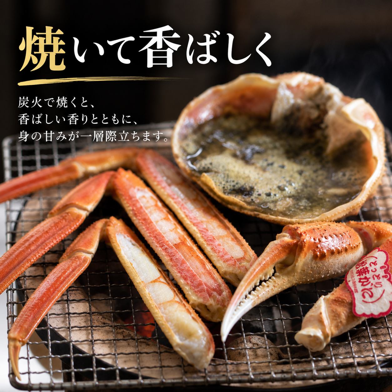 【鳥取県産ブランドタグ付き】活・松葉蟹