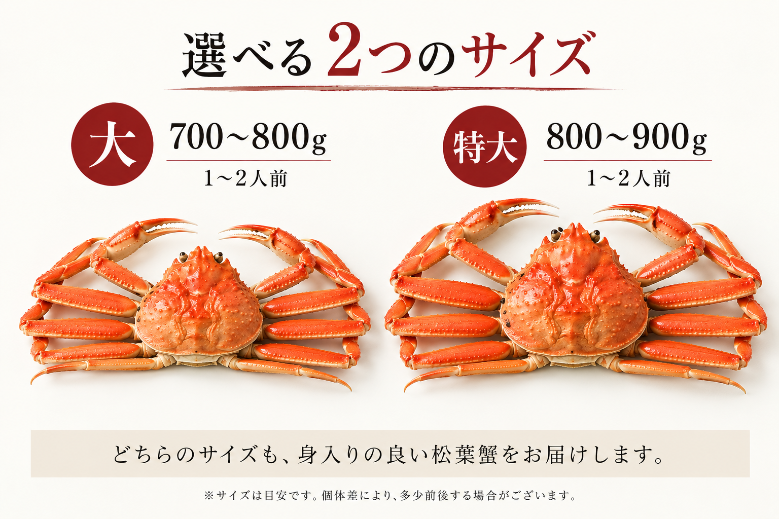【訳あり】活〆ボイル・松葉蟹（大・特大）