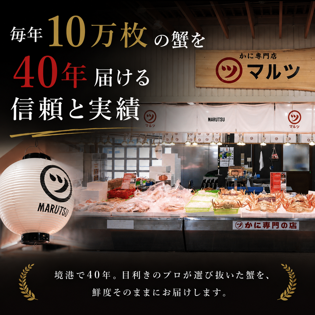 【鳥取県産ブランドタグ付き】活〆ボイル・松葉蟹