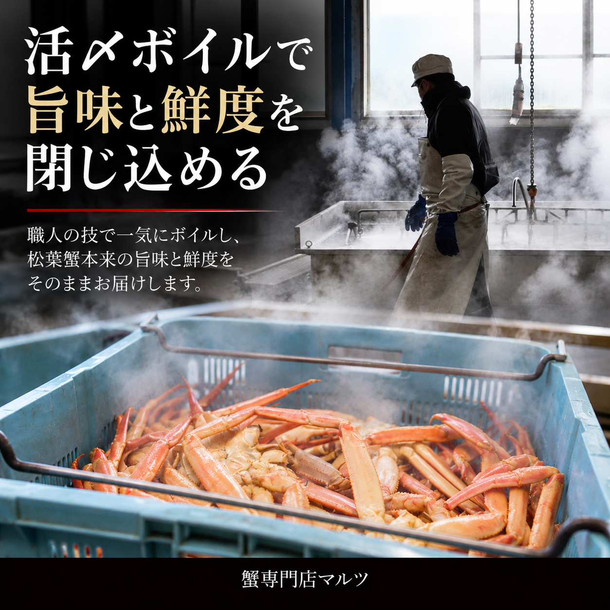 【鳥取県産ブランドタグ付き】活〆ボイル・松葉蟹