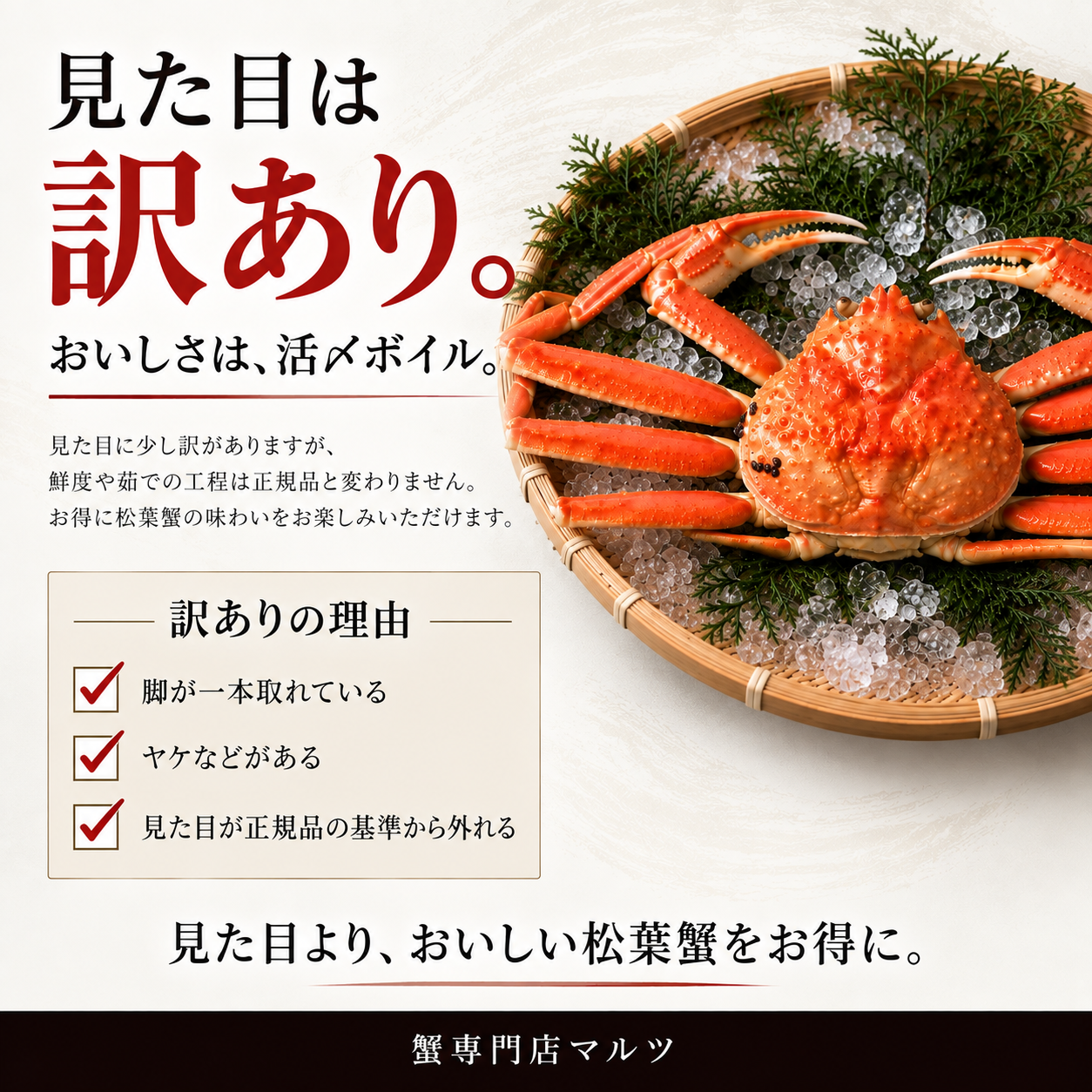 【訳あり】活〆ボイル・松葉蟹（大・特大）