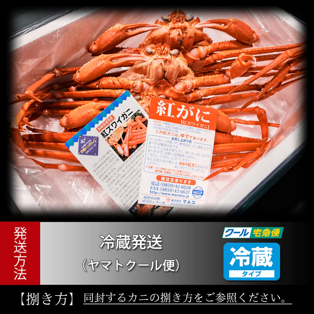 ズワイガニ ご注文品です(^^) | www.bangalegal.com.au